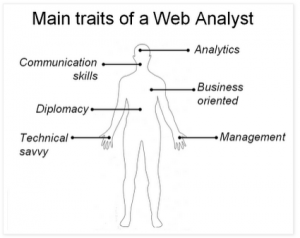 The main traits of a Web Analyst